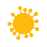 virus virus